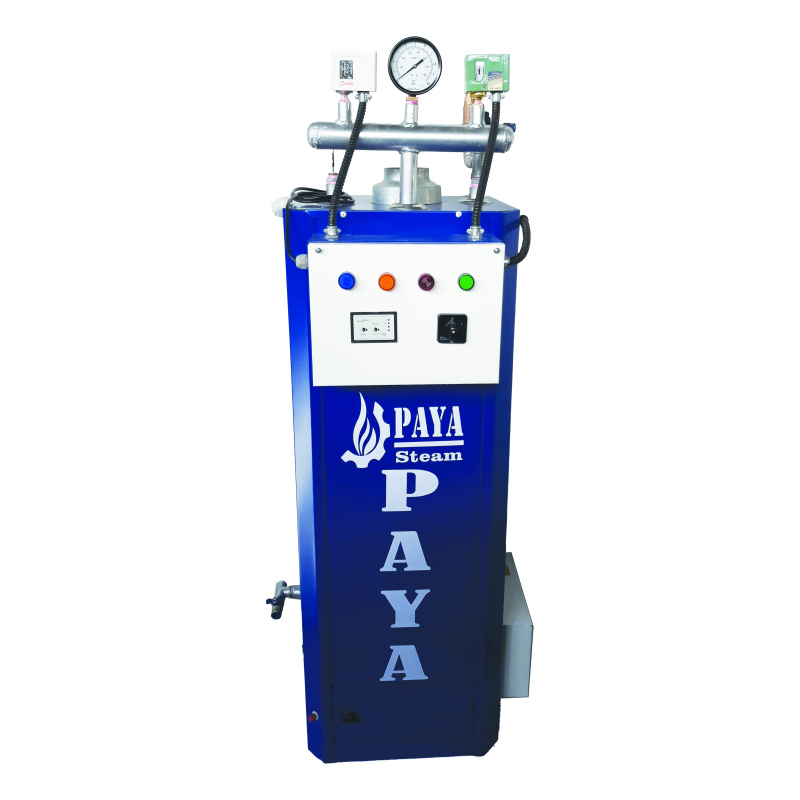 دیگ بخار 120 لیتری پایا